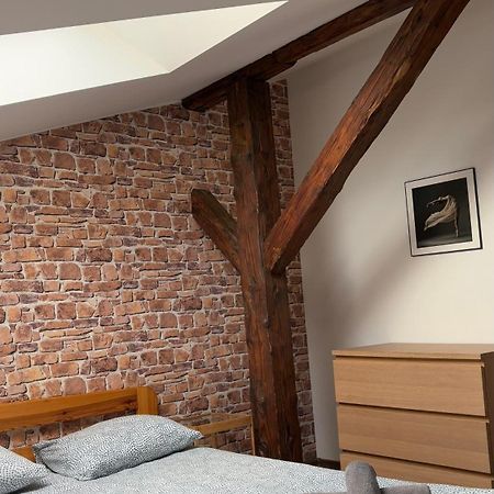 Apartament Szafir 4A Rzeszow Dış mekan fotoğraf